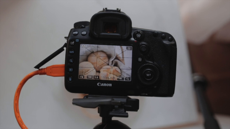 Функционирующая фотостудия